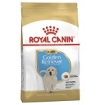 BHN GOLDEN RETRIEVER PUP 12KG